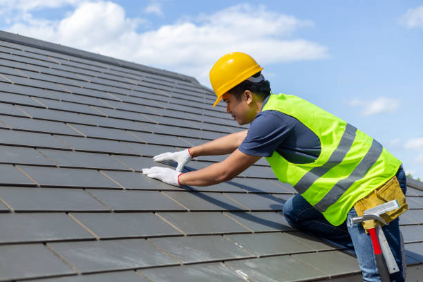 Best Roof Gutter Cleaning  in Devine, TX